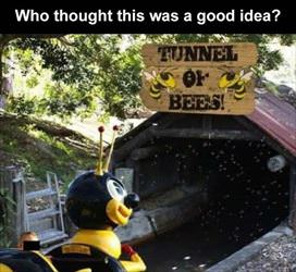 tunnel of bees