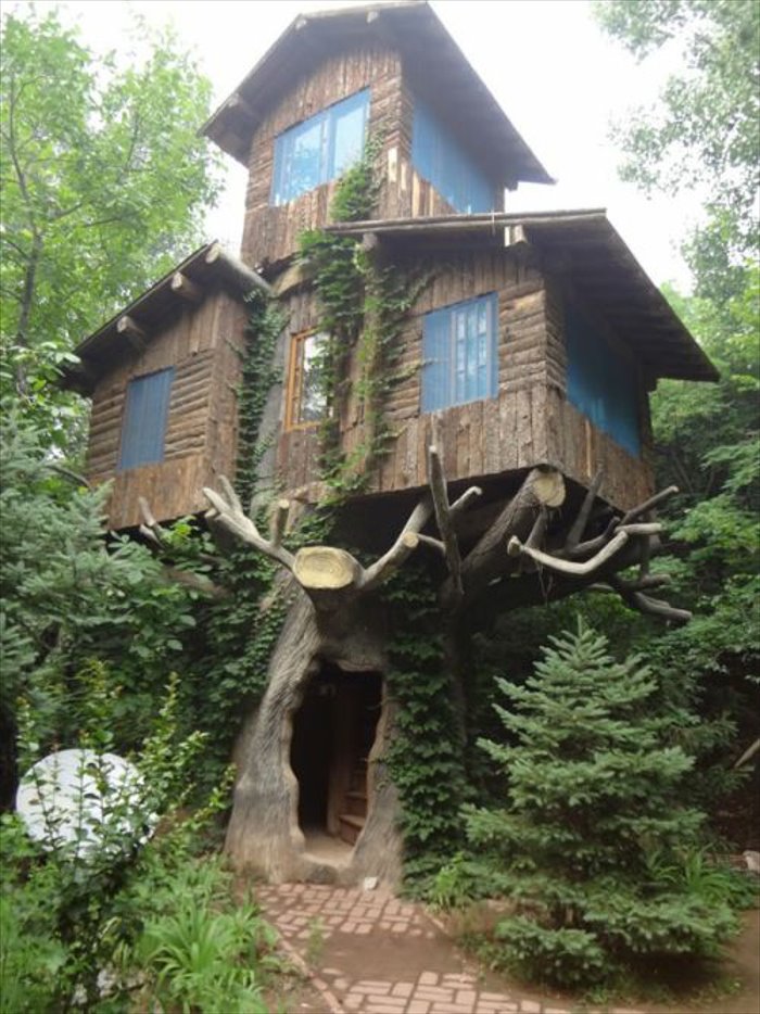Awesome Tree House funny picture