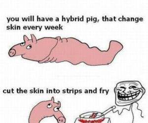 Unlimited Bacon funny picture