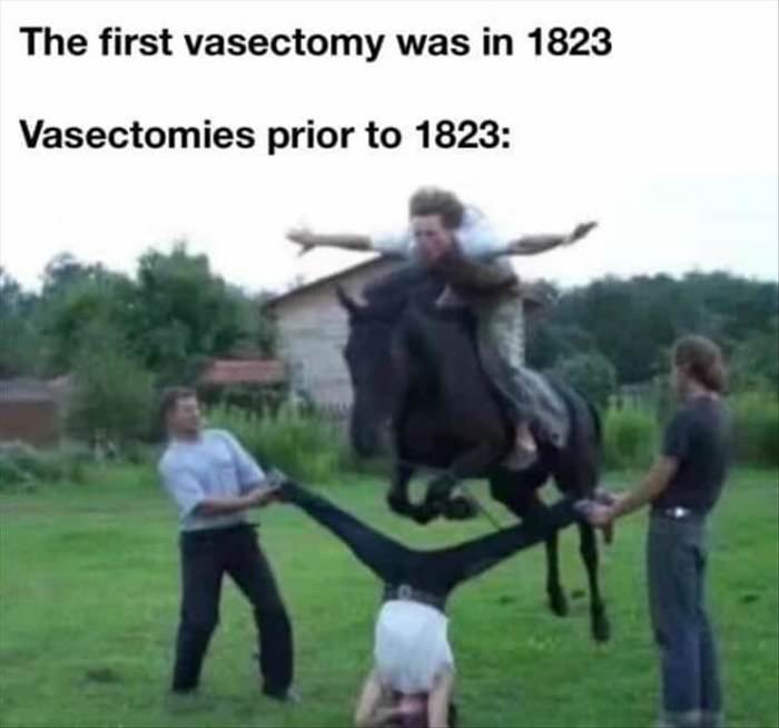 vascectomy