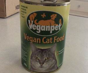 vegan cat food funny picture