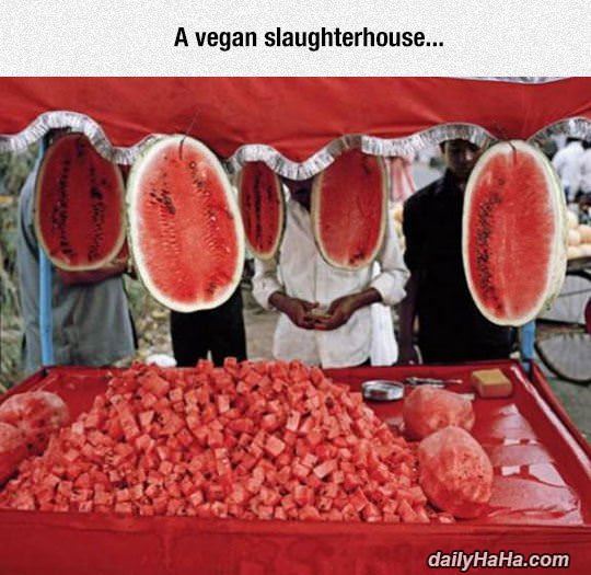 vegan slaughterhouse funny picture