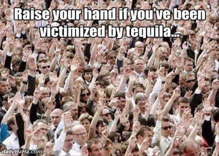 victimized by tequila funny picture