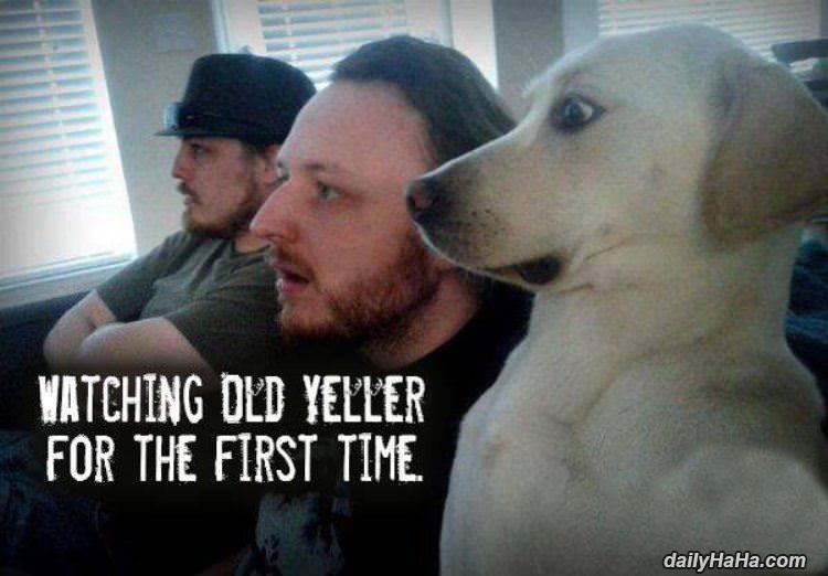 watching old yeller funny picture