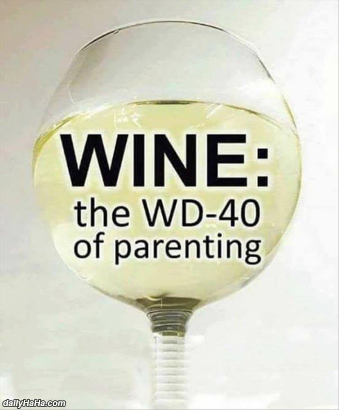 wd40 of parenting funny picture