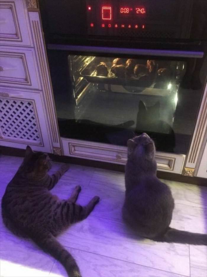 we-need-this-snack-please we need this snack please