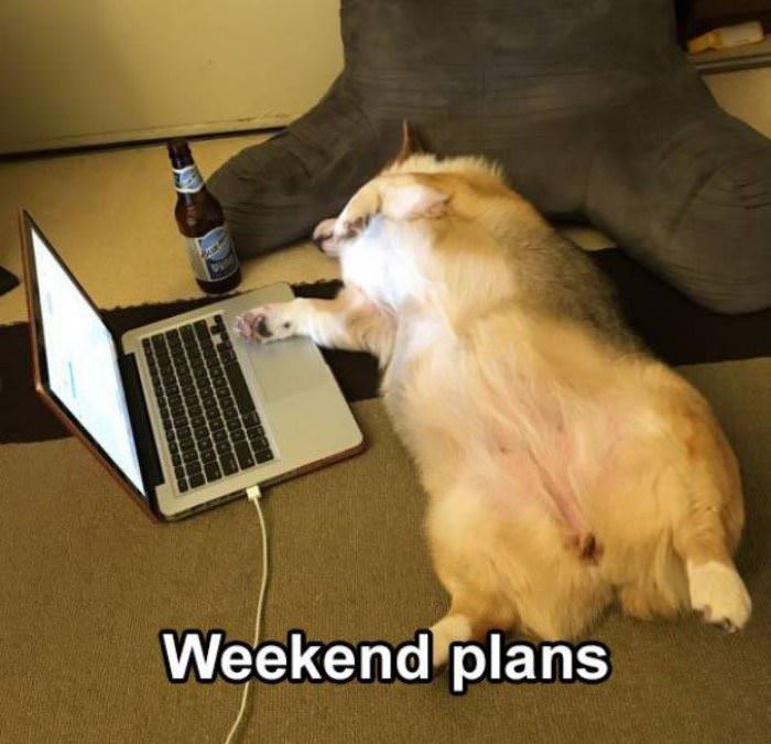 weekend plans funny picture