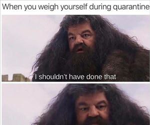 weigh yourself