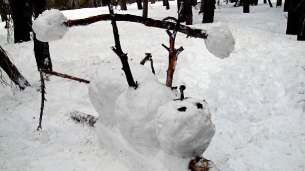 Buff Snowman funny picture