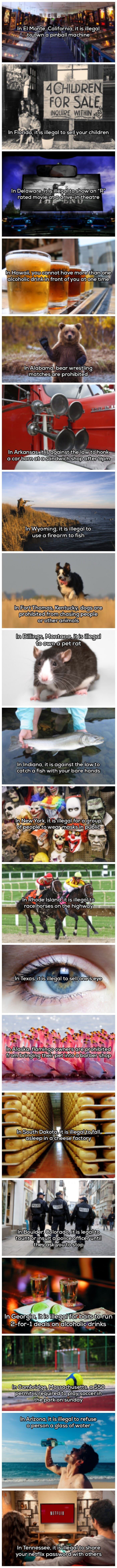 weird laws funny picture