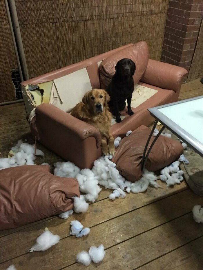 Welcome Home funny picture