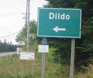 Welcome to dildo