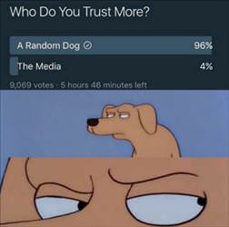what do you trust more