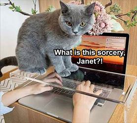 what is this janet