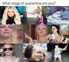 what stage are you