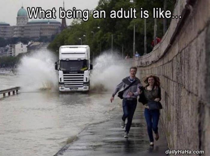 what being an adult is like funny picture