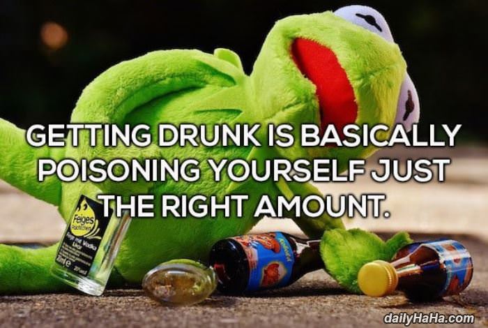 what getting drunk really is funny picture