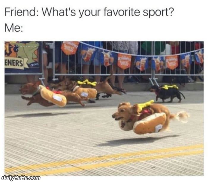 what is your favorite sport funny picture
