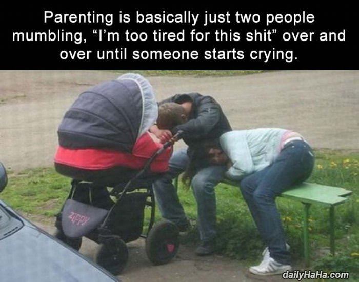 what parenting is like funny picture