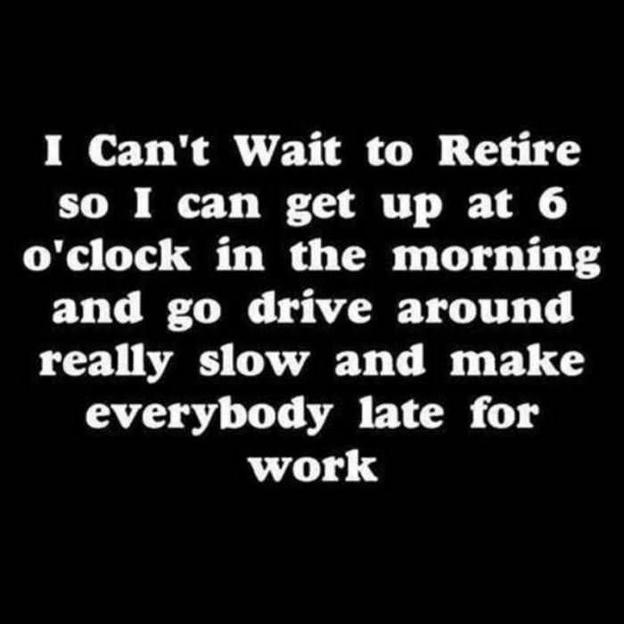 what retirement must be like funny picture