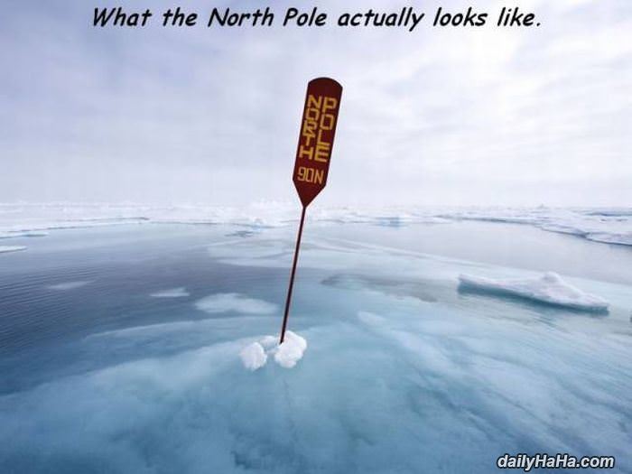 what the north pole looks like funny picture