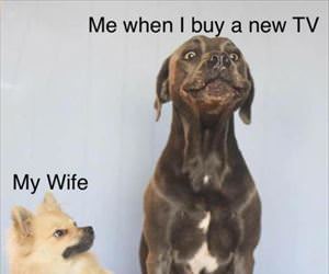 when I buy a new TB
