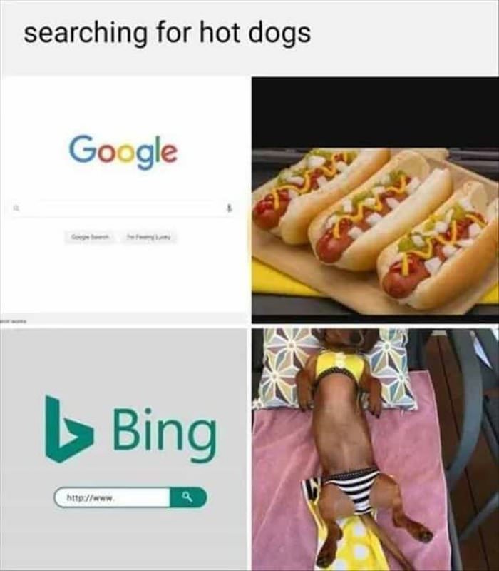 when-looking-for-hotdog