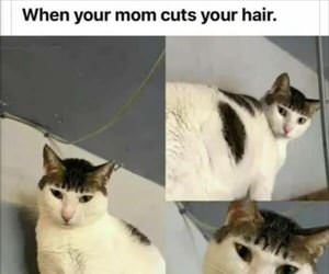when mom cuts your hair
