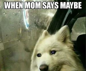 when mom says maybe