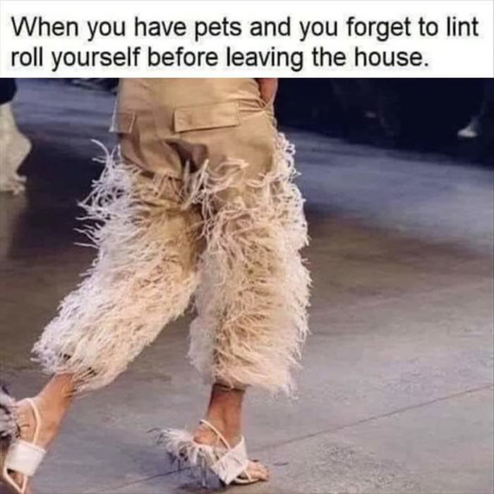 when you have pets
