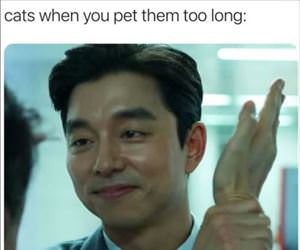 when you pet them too long