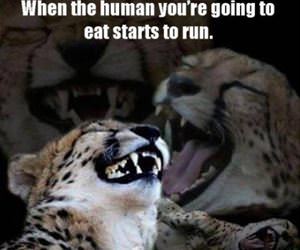 when the human starts to run funny picture