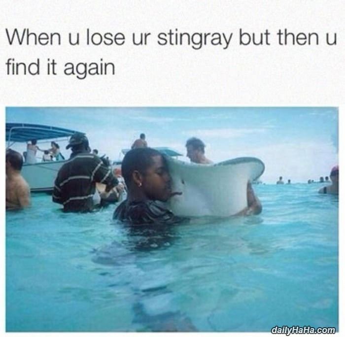 when you lose your stingray funny picture