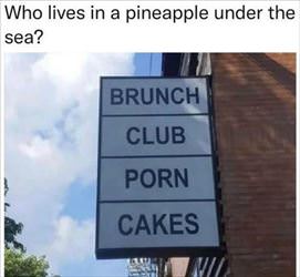 who lives in a pineapple