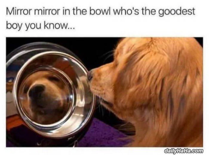 who is the goodest boy funny picture