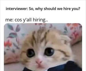 why should i hire you