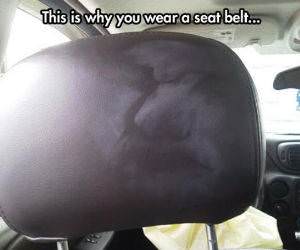 Always Wear A Seatbelt funny picture