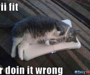 Wii Fit funny picture