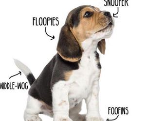 woofer diagram funny picture