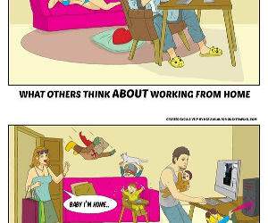 working from home funny picture