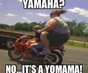 yahama funny picture
