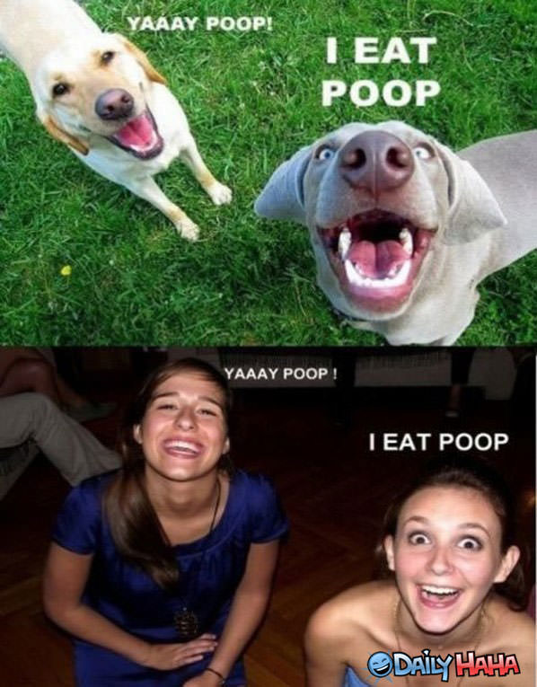 Yay Poop funny picture
