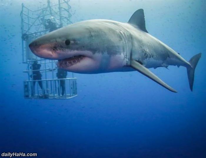 yea_i_will_pass_on_that Yea I Will Pass On That