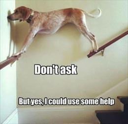 yes i can use some help