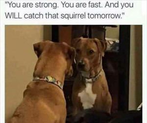 you are strong and fast