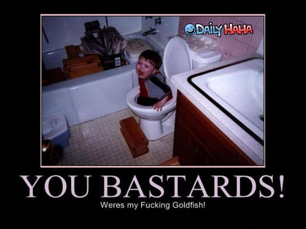 You Bastards funny picture