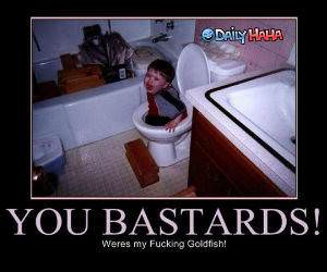 You Bastards funny picture