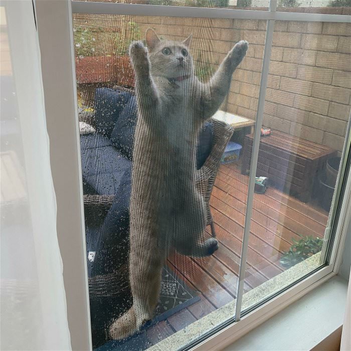 you let me in right now