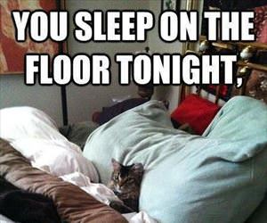 you sleep on the floor