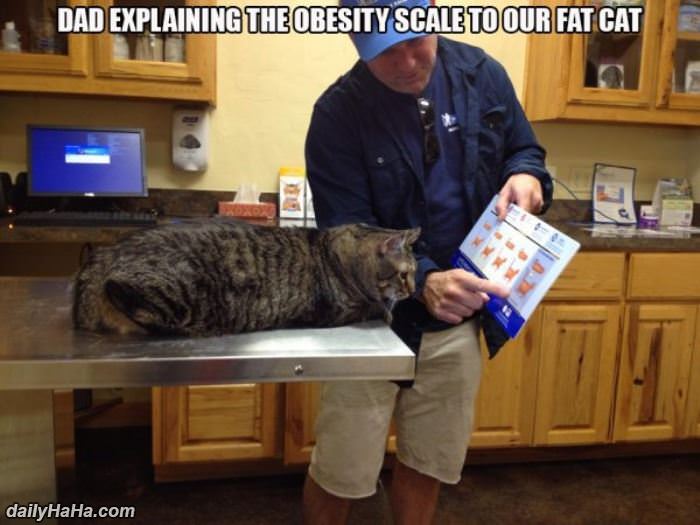 you are getting too fat funny picture